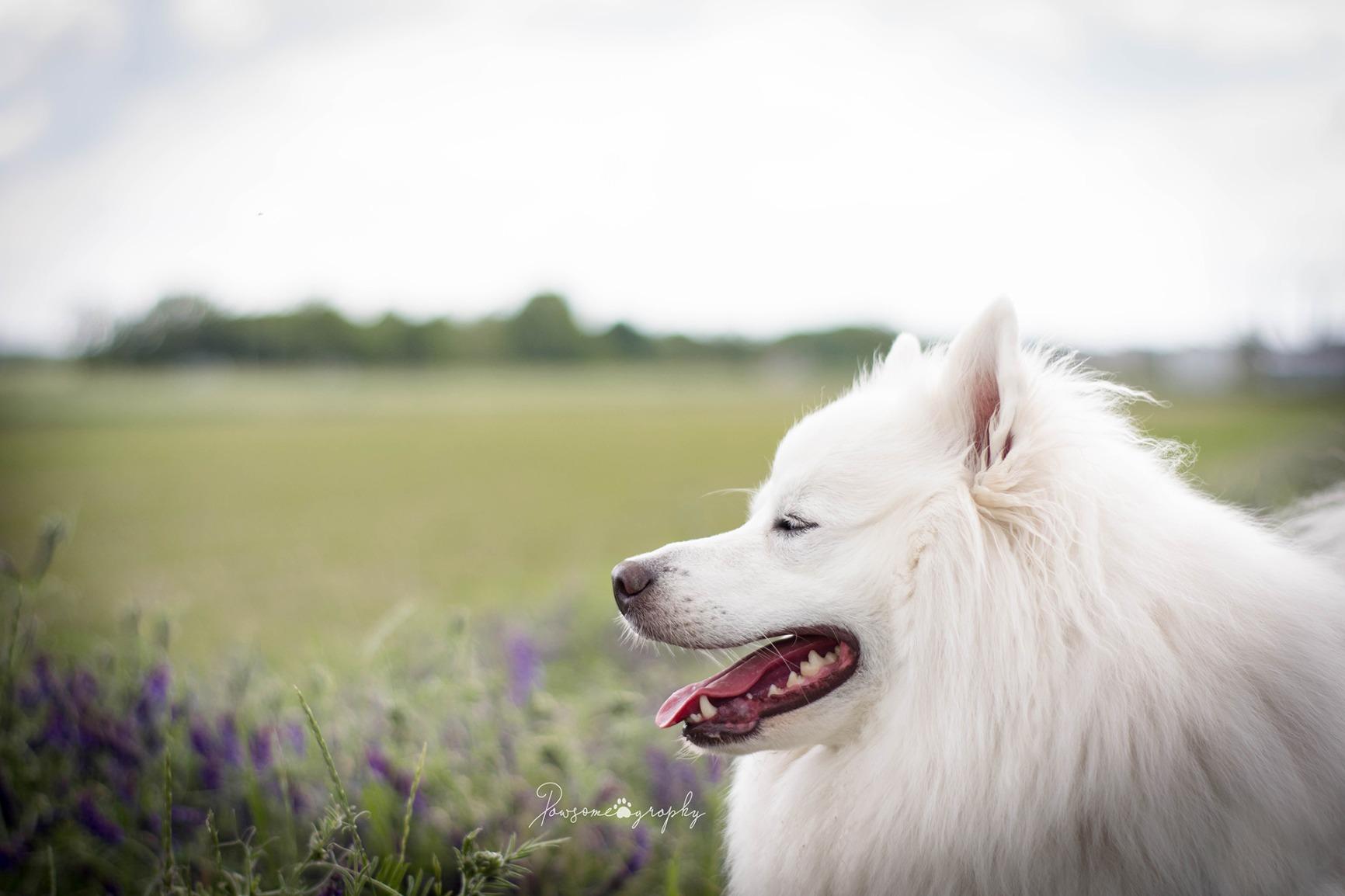 Super lens for Nikon at an unbeatable price!